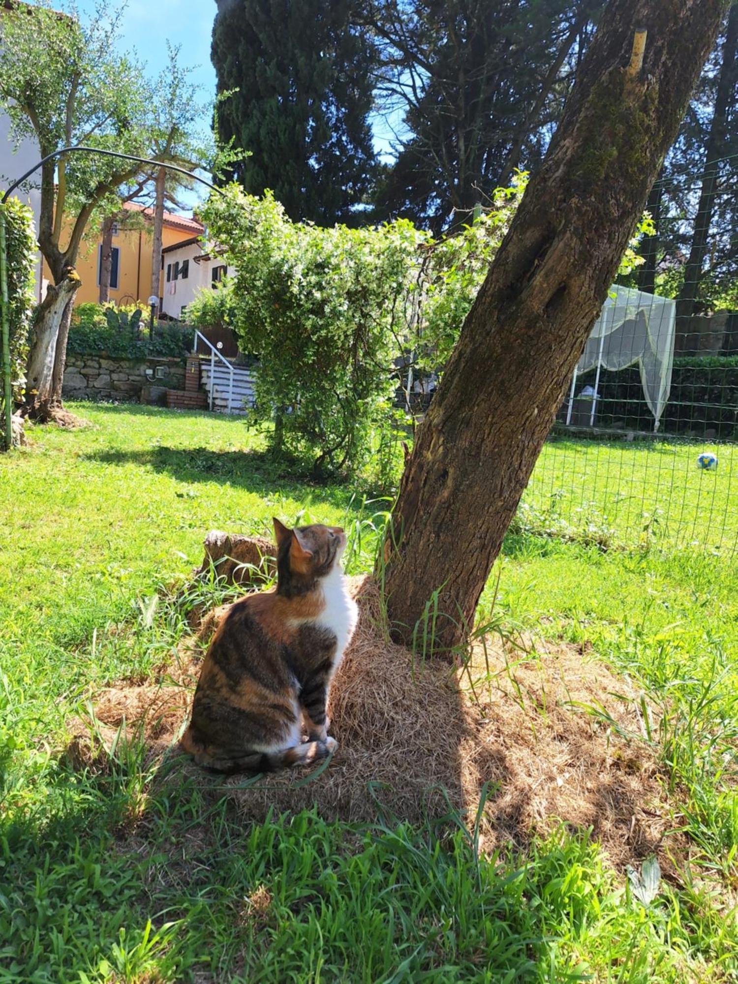Hotel Mama' Castell'Anselmo Esterno foto